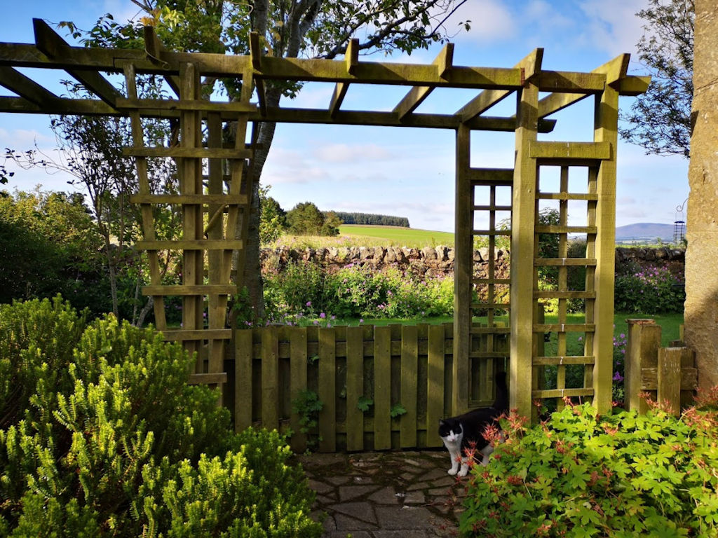 Gardens in Aberdeen, Grampian and Moray, Scotland